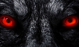 ps制作发光的狼眼睛gif动效-视达网