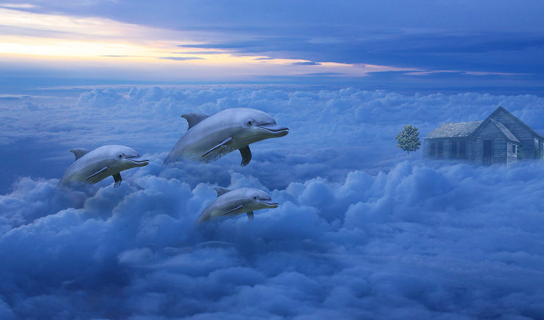PS云端海豚创意合成海报制作视频教程