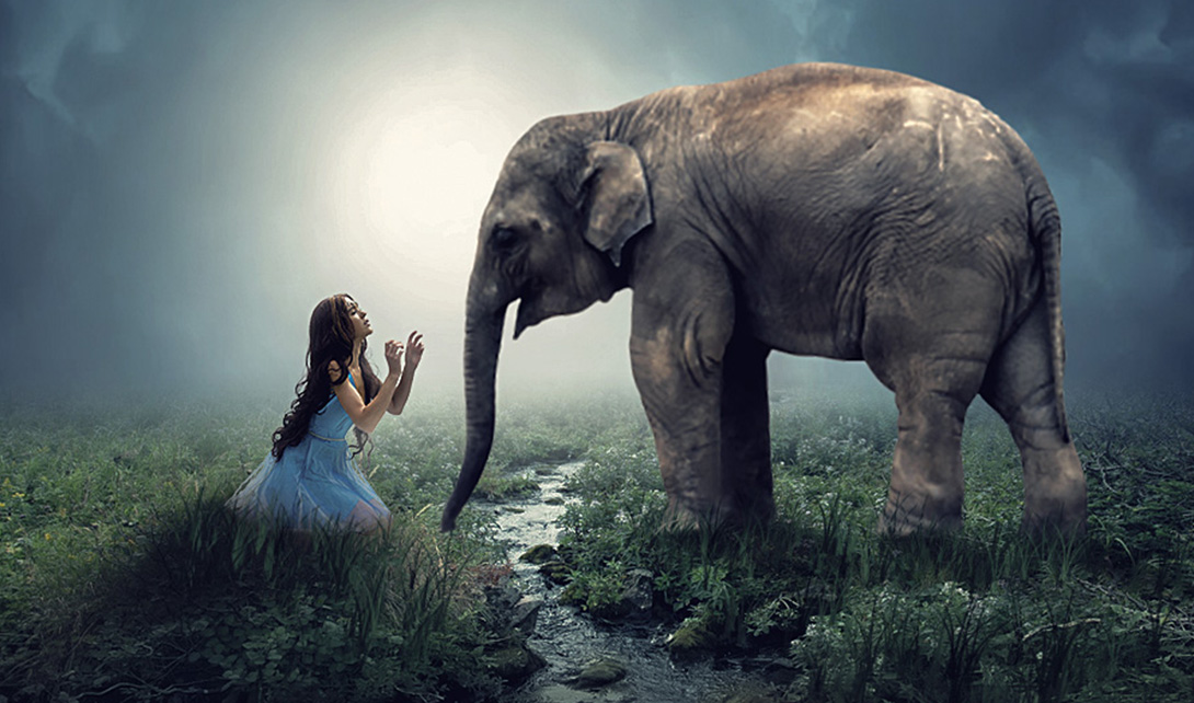 PS女孩与大象场景合成海报制作视频教程