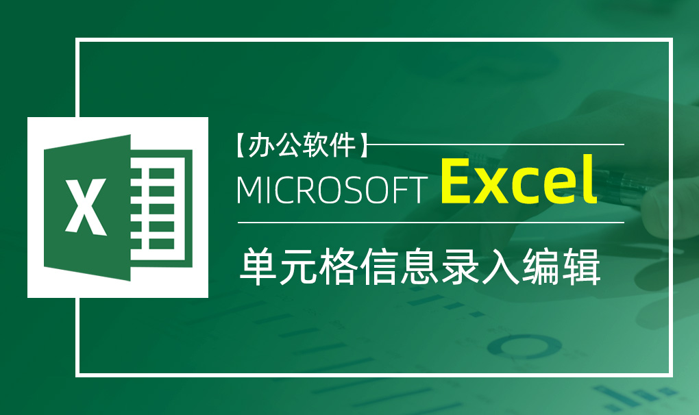 Excel-单元格信息录入编辑视频教程