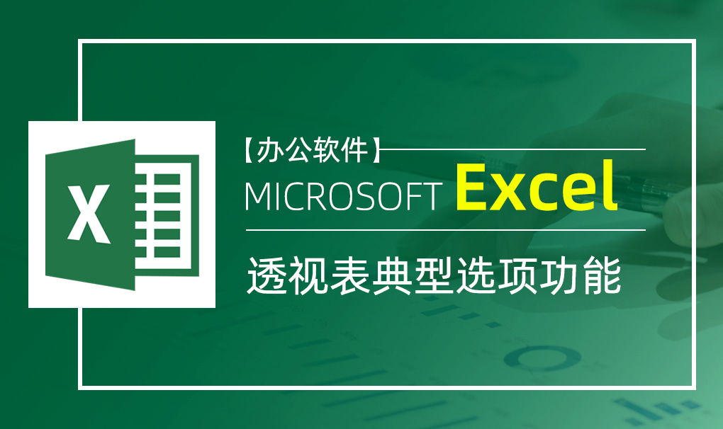 Excel-透视表典型选项功能视频教程