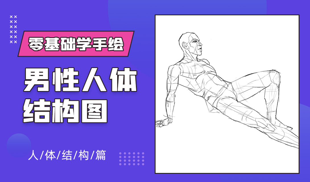零基础学手绘:男性人体结构图视频教程